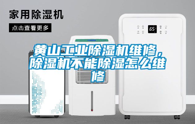 黃山工業(yè)除濕機(jī)維修，除濕機(jī)不能除濕怎么維修