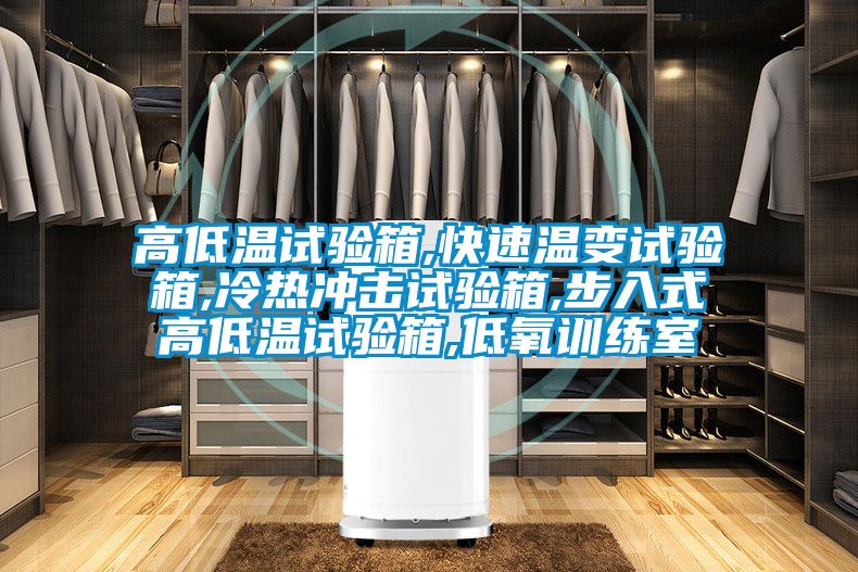 高低溫試驗(yàn)箱,快速溫變試驗(yàn)箱,冷熱沖擊試驗(yàn)箱,步入式高低溫試驗(yàn)箱,低氧訓(xùn)練室
