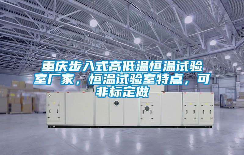 重慶步入式高低溫恒溫試驗室廠家，恒溫試驗室特點，可非標定做