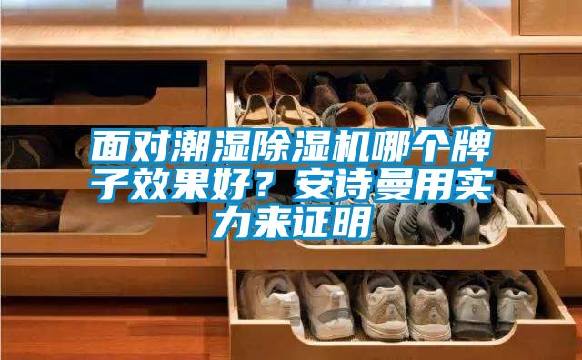 面對潮濕除濕機哪個牌子效果好？安詩曼用實力來證明