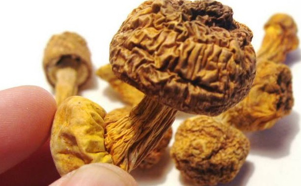 巴西菇、姬松茸烘干機(jī)-怎樣烘干色澤好且菇體褶片完整？