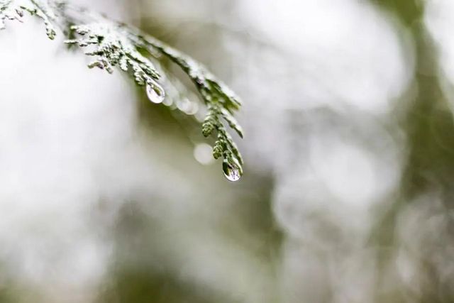 空氣濕度大帶來的危害有哪些，你知道嗎？