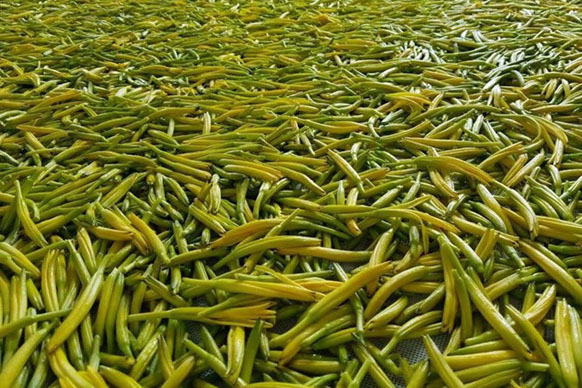 無(wú)硫金針菜烘干如何保持品相？不發(fā)黑？